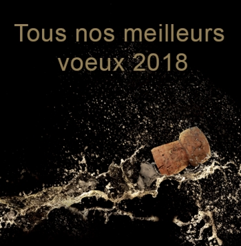 Voeux 2018