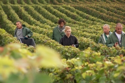 Champagne Alain NAVARRE - Harvest in Champagne