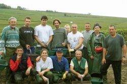 Champagne Alain NAVARRE - Harvest in Champagne