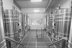 Champagne Alain NAVARRE - The Winery: The Beginning of Transformation