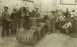 Champagne Alain NAVARRE - After pressing – the barrels