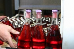 Champagne Alain NAVARRE - deposit trapped in ice