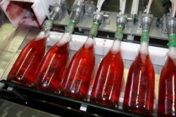 Champagne Alain NAVARRE - Expulsion of the deposit